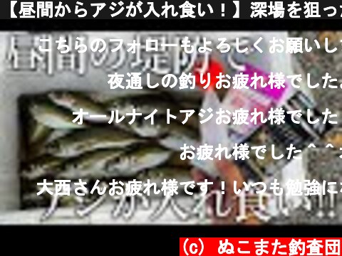 【昼間からアジが入れ食い！】深場を狙ったぶっこみサビキのアジ釣りを紹介します  (c) ぬこまた釣査団